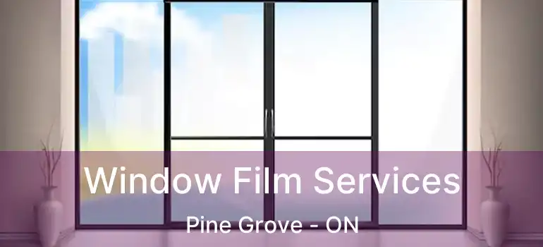  Window Film Services Pine Grove - ON