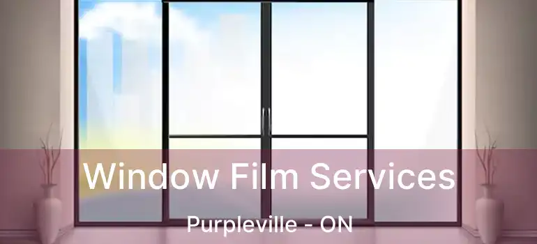  Window Film Services Purpleville - ON