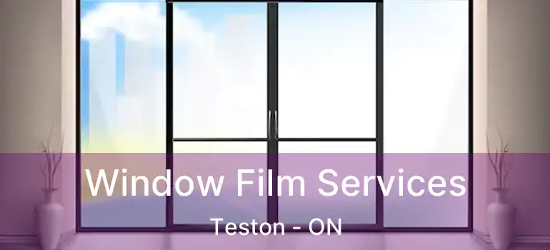  Window Film Services Teston - ON