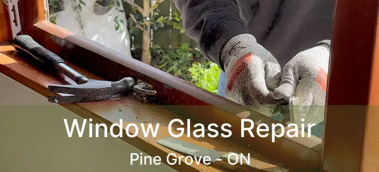 Window Glass Repair Pine Grove - ON