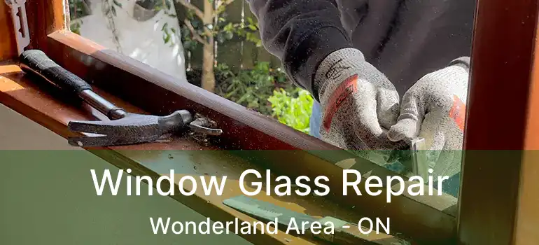 Window Glass Repair Wonderland Area - ON