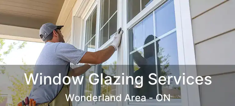  Window Glazing Services Wonderland Area - ON