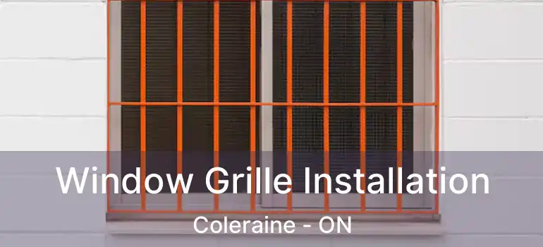  Window Grille Installation Coleraine - ON
