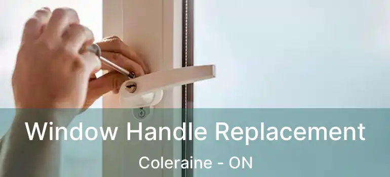  Window Handle Replacement Coleraine - ON
