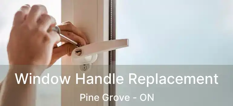  Window Handle Replacement Pine Grove - ON