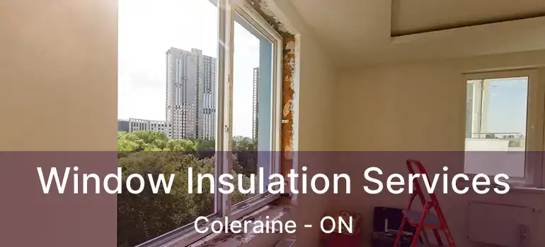 Window Insulation Services Coleraine - ON