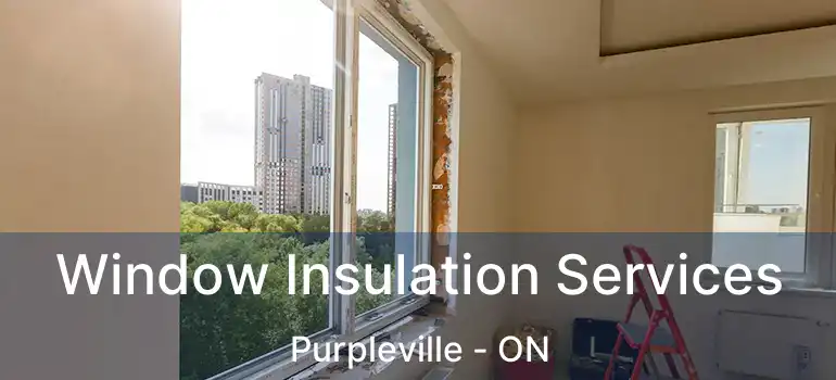  Window Insulation Services Purpleville - ON