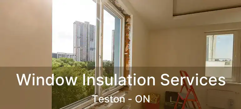  Window Insulation Services Teston - ON