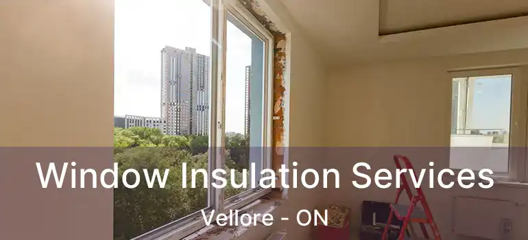  Window Insulation Services Vellore - ON