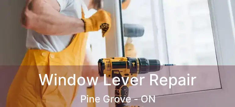Window Lever Repair Pine Grove - ON