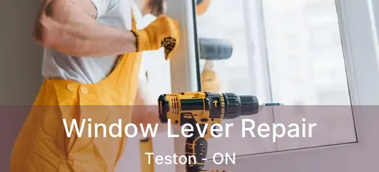  Window Lever Repair Teston - ON