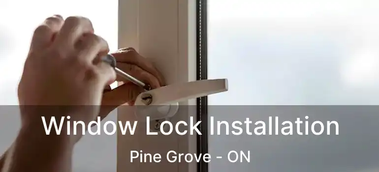  Window Lock Installation Pine Grove - ON