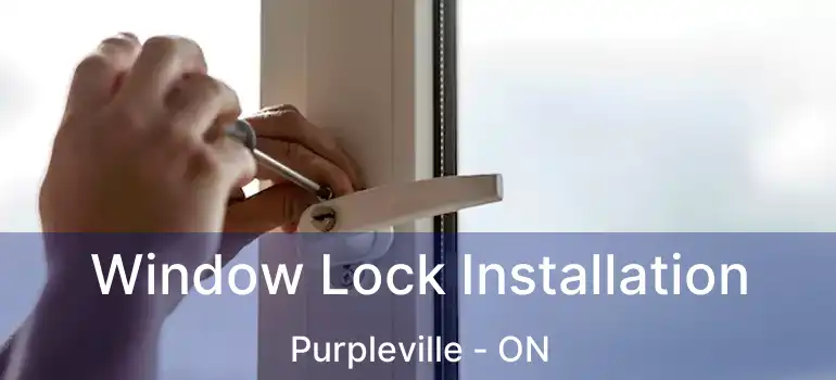  Window Lock Installation Purpleville - ON