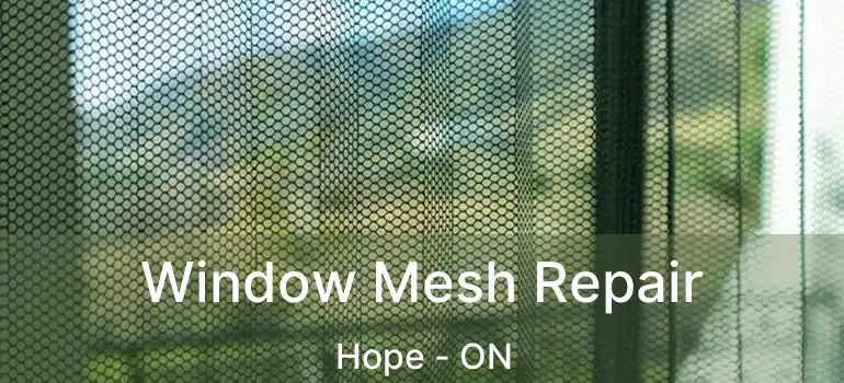 Window Mesh Repair Hope - ON