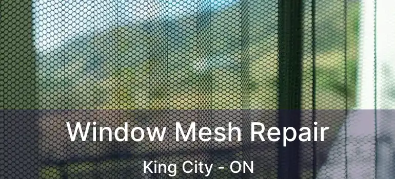  Window Mesh Repair King City - ON