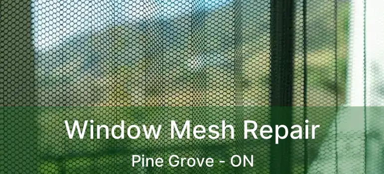  Window Mesh Repair Pine Grove - ON