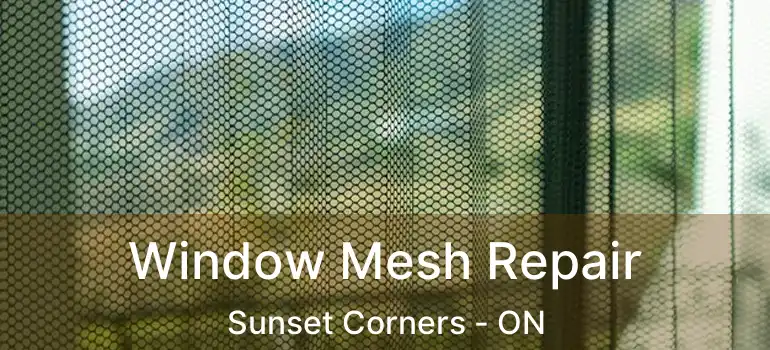  Window Mesh Repair Sunset Corners - ON
