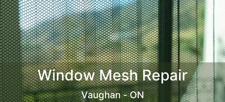 Window Mesh Repair Vaughan - ON