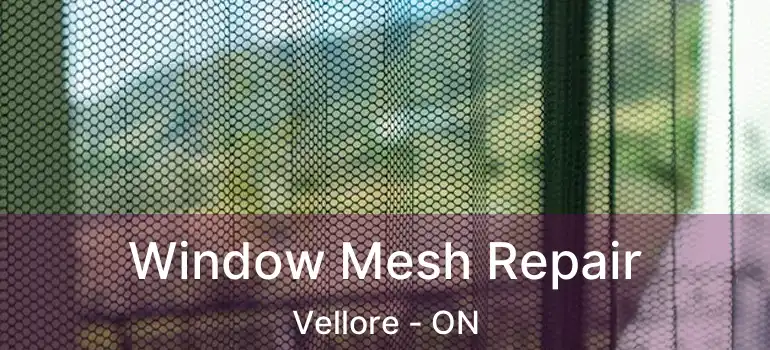 Window Mesh Repair Vellore - ON