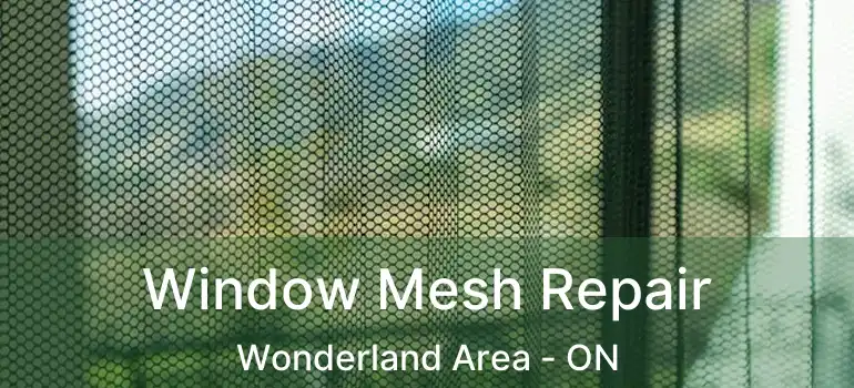  Window Mesh Repair Wonderland Area - ON