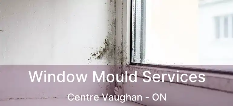 Window Mould Services Centre Vaughan - ON