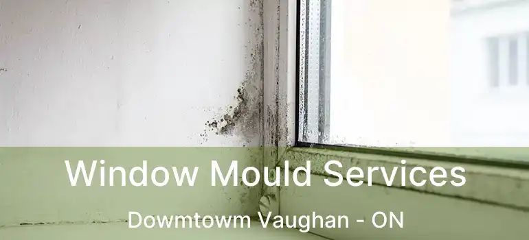  Window Mould Services Dowmtowm Vaughan - ON