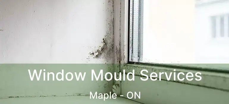  Window Mould Services Maple - ON
