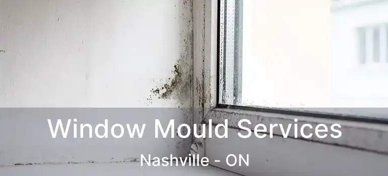  Window Mould Services Nashville - ON