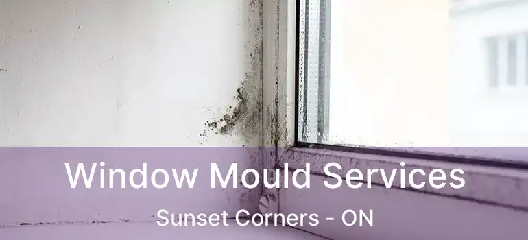  Window Mould Services Sunset Corners - ON