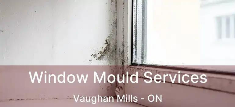  Window Mould Services Vaughan Mills - ON