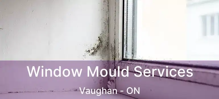  Window Mould Services Vaughan - ON