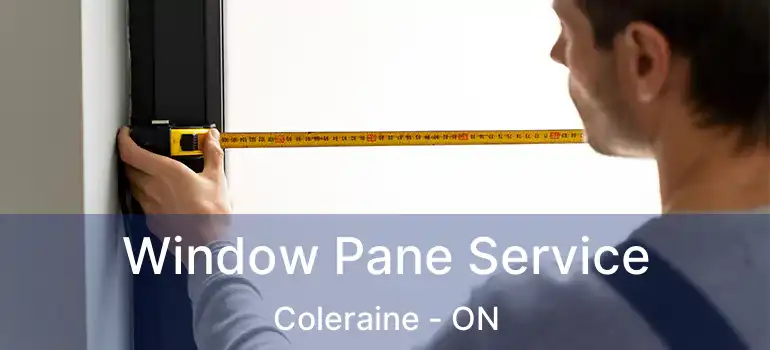  Window Pane Service Coleraine - ON