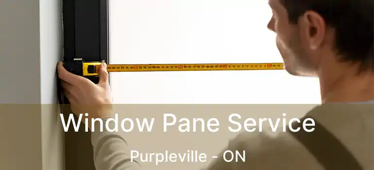  Window Pane Service Purpleville - ON