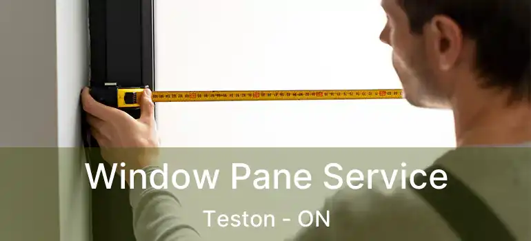  Window Pane Service Teston - ON