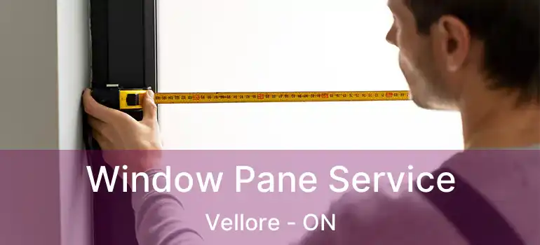  Window Pane Service Vellore - ON