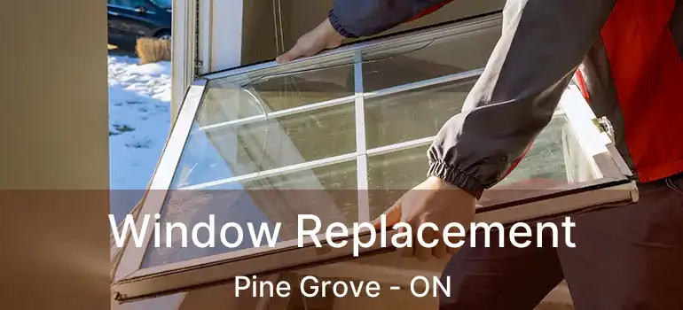  Window Replacement Pine Grove - ON