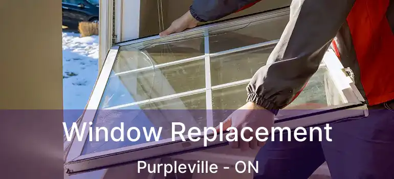  Window Replacement Purpleville - ON