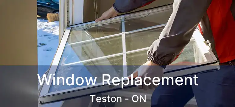  Window Replacement Teston - ON