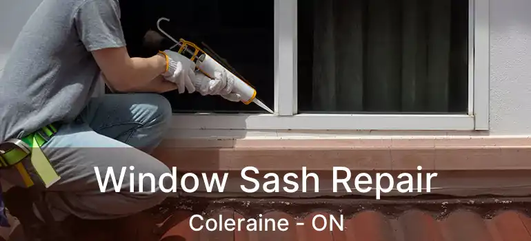  Window Sash Repair Coleraine - ON