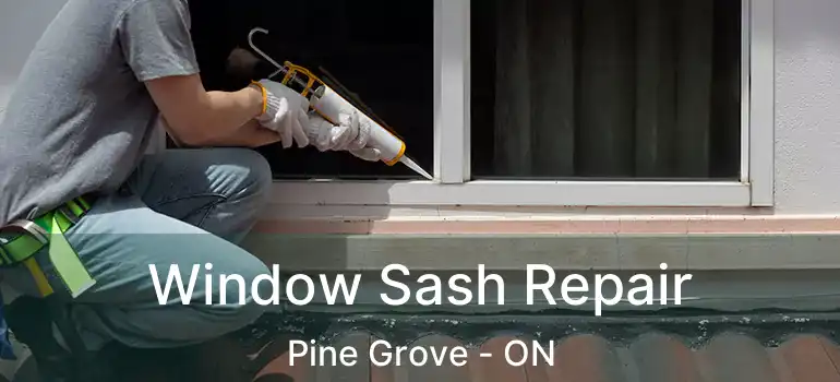  Window Sash Repair Pine Grove - ON