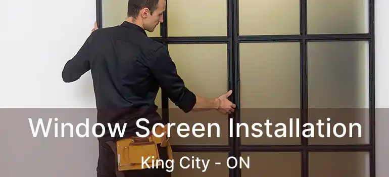 Window Screen Installation King City - ON