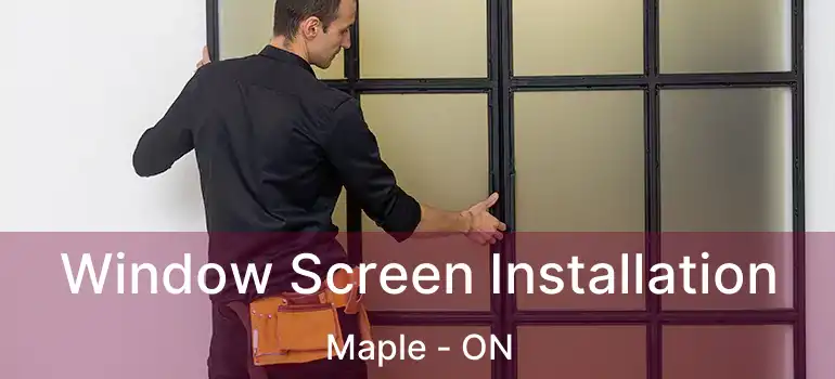 Window Screen Installation Maple - ON