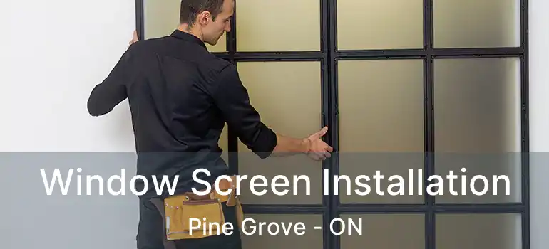  Window Screen Installation Pine Grove - ON