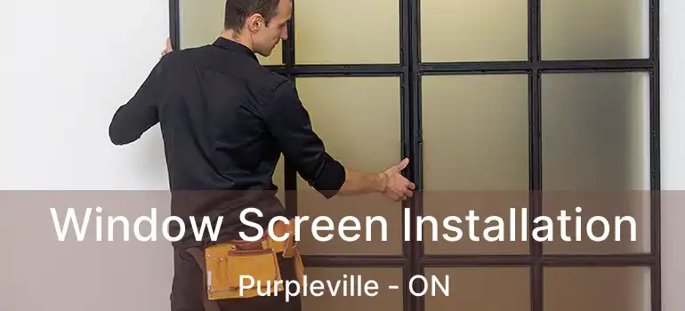  Window Screen Installation Purpleville - ON