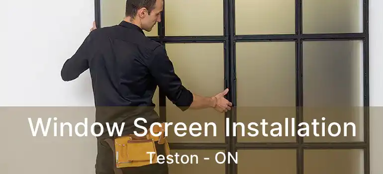  Window Screen Installation Teston - ON