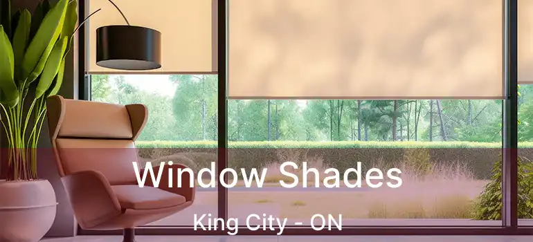  Window Shades King City - ON