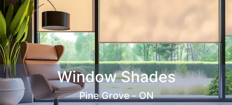  Window Shades Pine Grove - ON