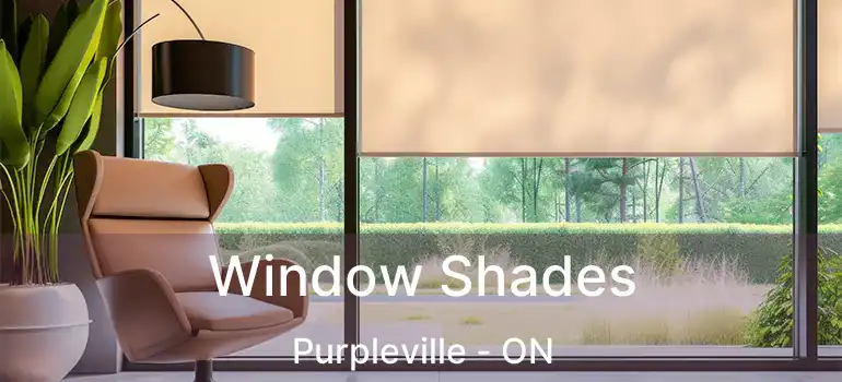 Window Shades Purpleville - ON