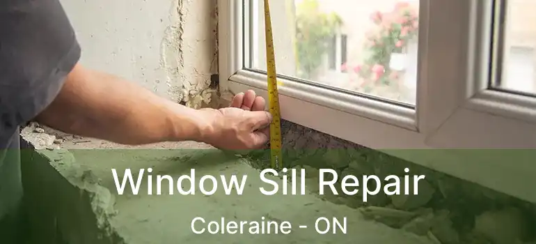 Window Sill Repair Coleraine - ON