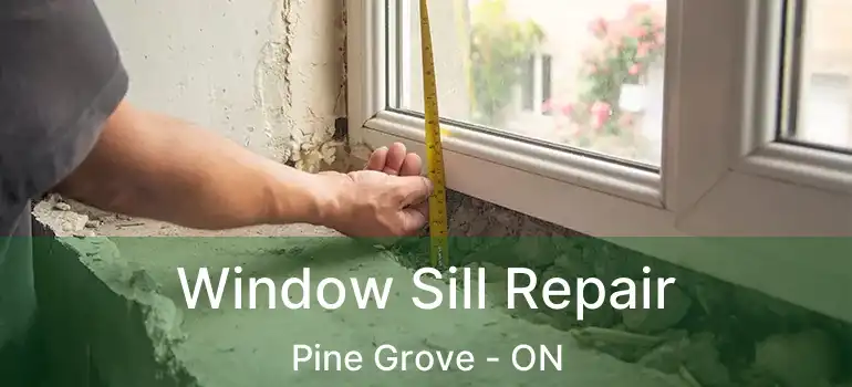 Window Sill Repair Pine Grove - ON